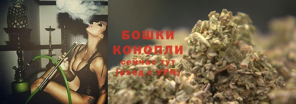сатива Абдулино